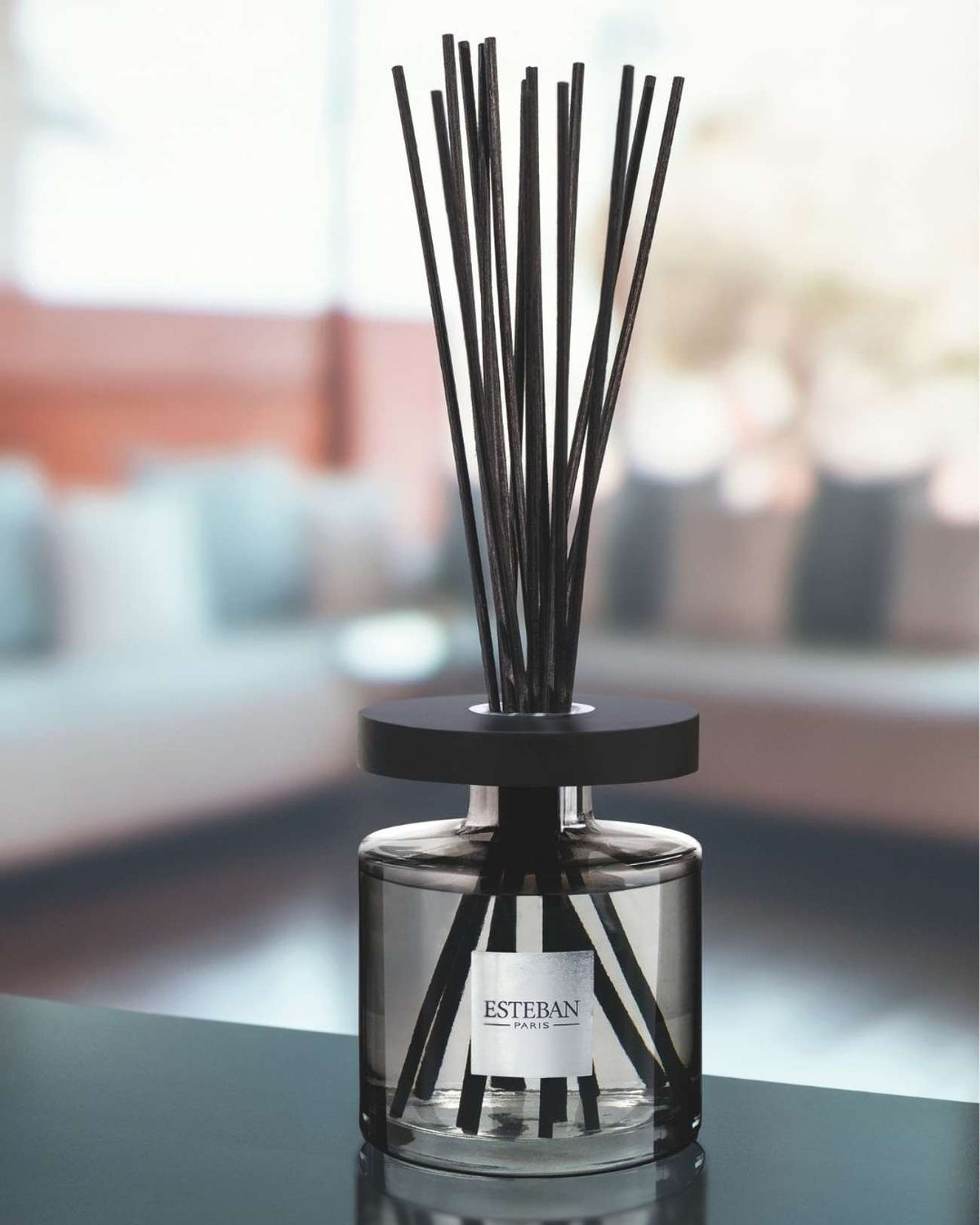 Bouquet profumato Ellipse - Figue Noire - ricaricabile - 500 ml