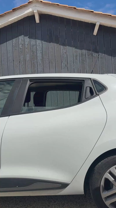 Diffuseur de voiture animaux