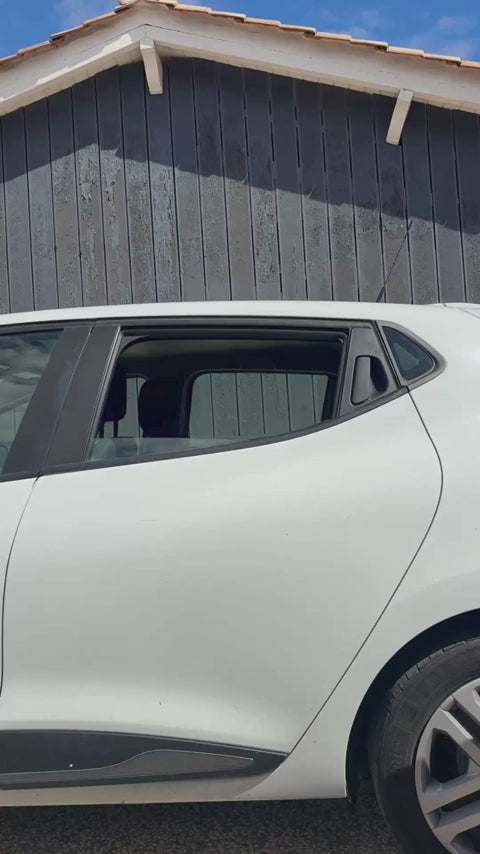 Diffuseur de voiture animaux